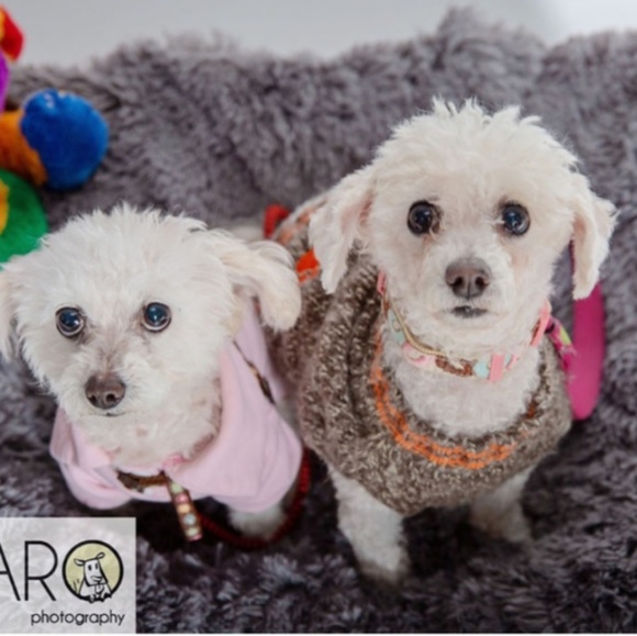 Random clothing in new or slightly used condition - Picture 4 of 10